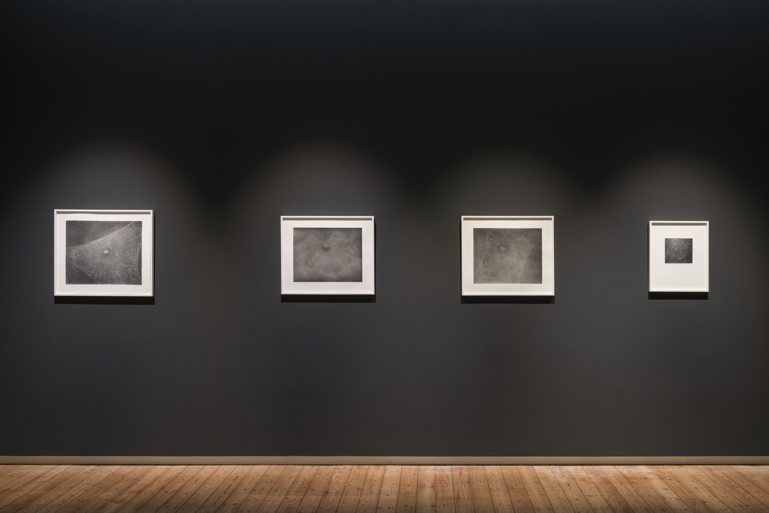 Vija Celmins, Newcastle upon Tyne Artist Rooms